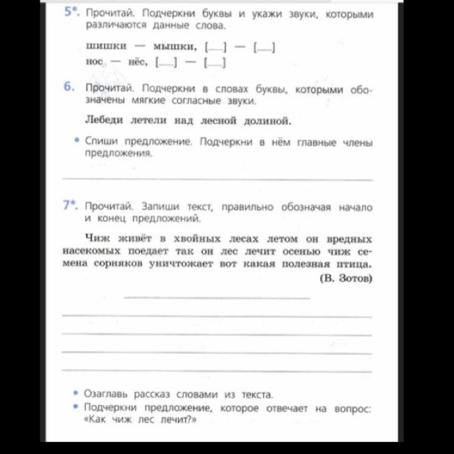 Прочитайте предложения правильно. Подчеркни буквы которыми различаются слова. Подчеркни буквы и звуки которыми различаются данные слова. Подчеркни буквы и укажи звуки которыми различаются данные слова. Подчеркни буквы и укажи звуки которыми различаются слова шишки мышки.