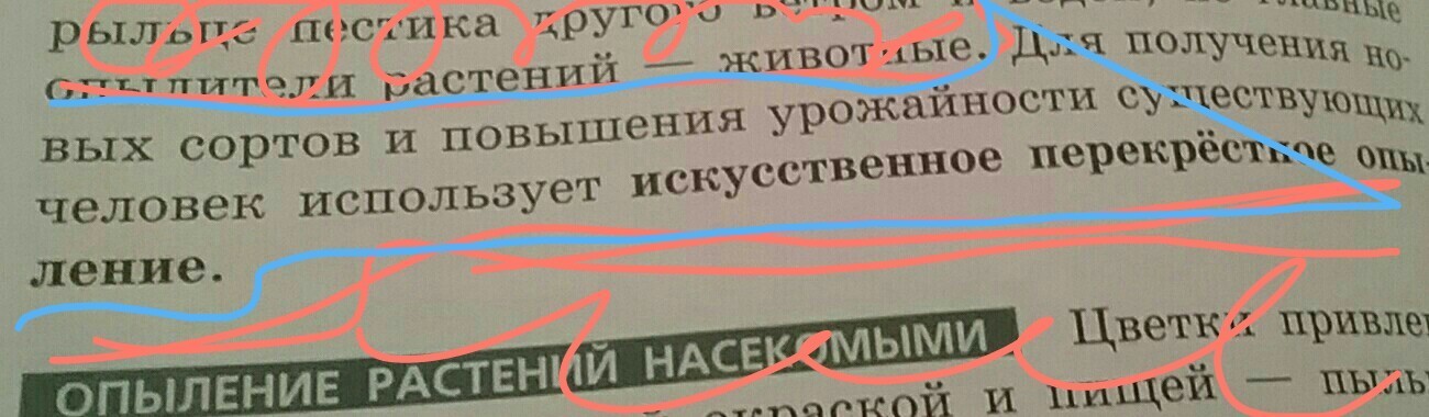 Тут запятая. Наряд запятых в здание. Тут же запятая. Отнюдь запятые. Спасибо Наталья нужна ли запятая.