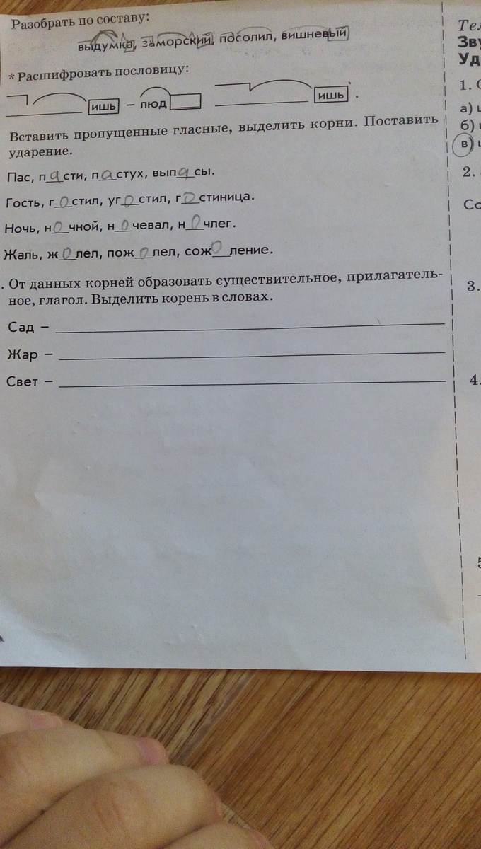 Разбор слова заморозки. Посолил разбор слова по составу. Разобрать слово по составу посолил. Состав слова посолил. Разобрать по составу слово выдумка заморский посолил вишневый.