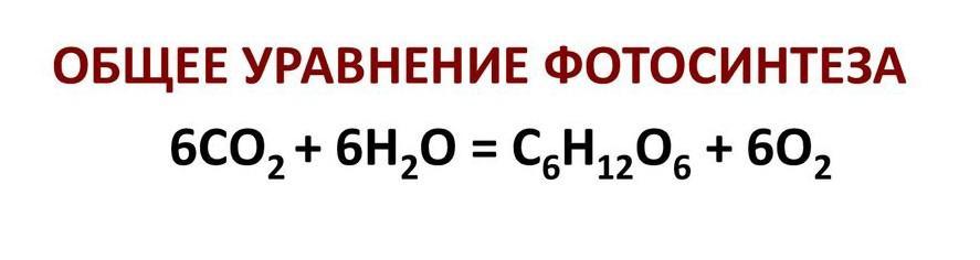 В общем как пишется