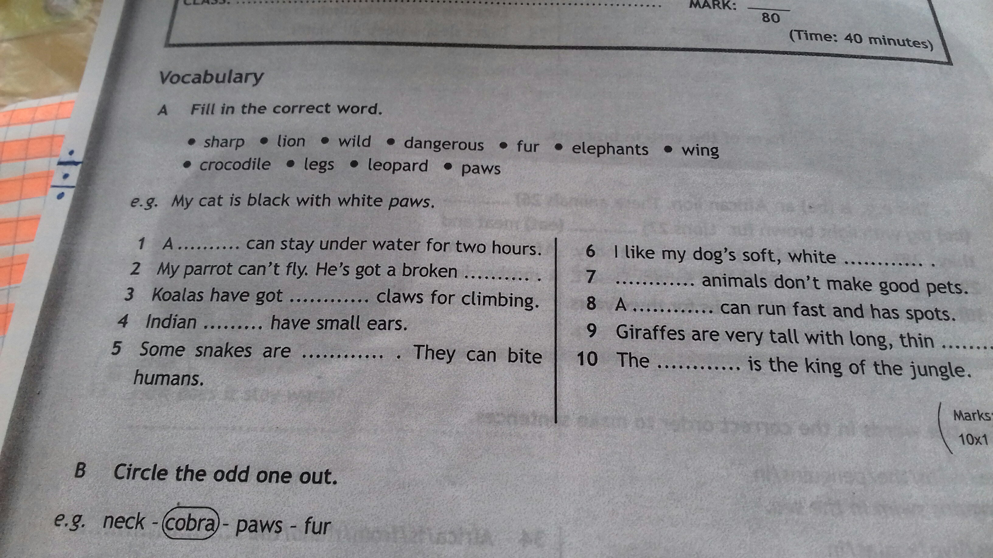 Fill in the correct word. Fill in the correct Word 6 класс ответы контрольная. Indian have small Ears ответ. Circle the odd one out Neck Cobra. Fill in the correct Word 2 Grade.