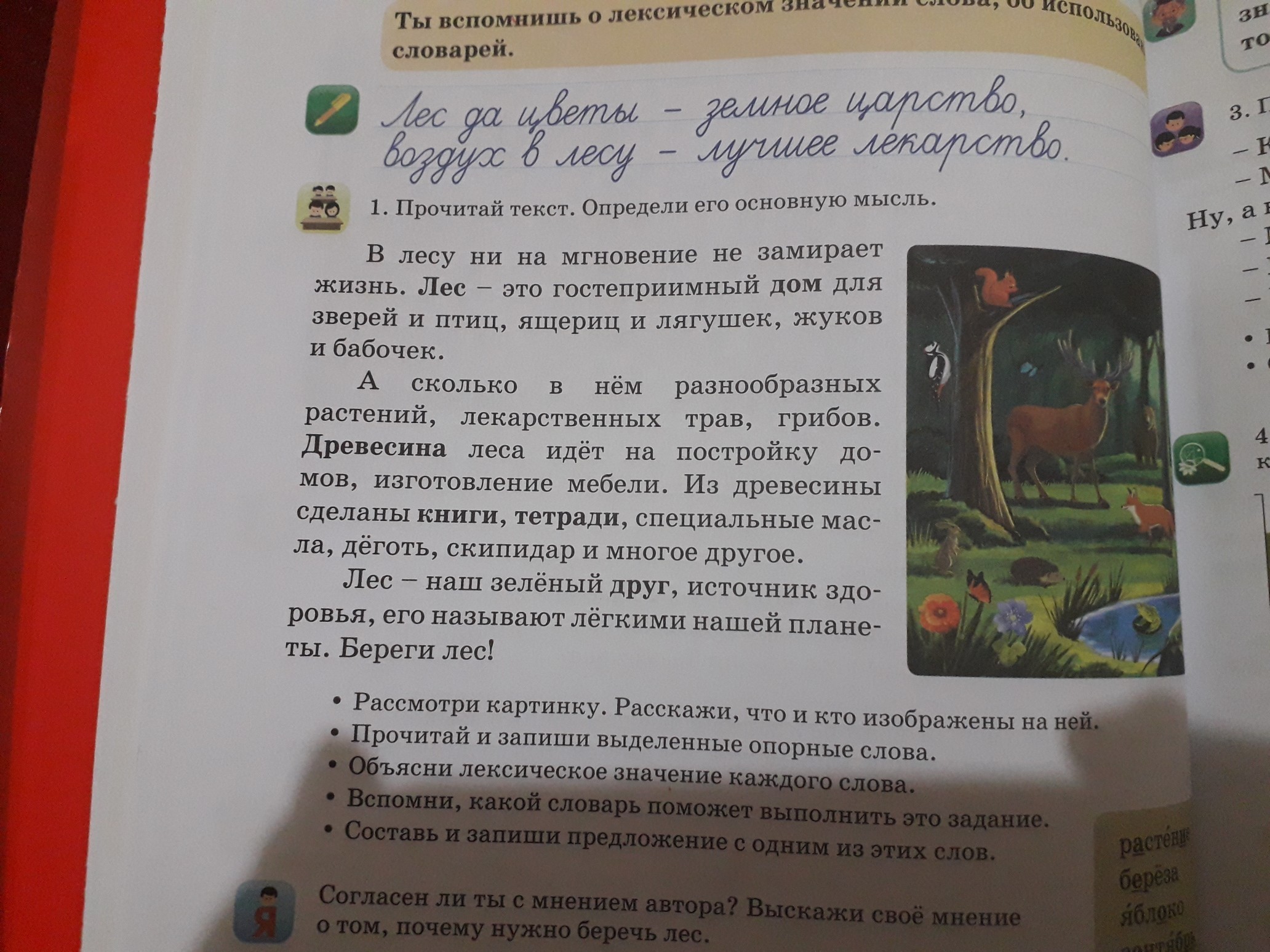 Определи какой текст 3 класс. Прочитайте текст определите его основную мысль. Прочитай текст определи основную мысль текста. Прочитай текст. Прочитай текст определи его тему и основную мысль.