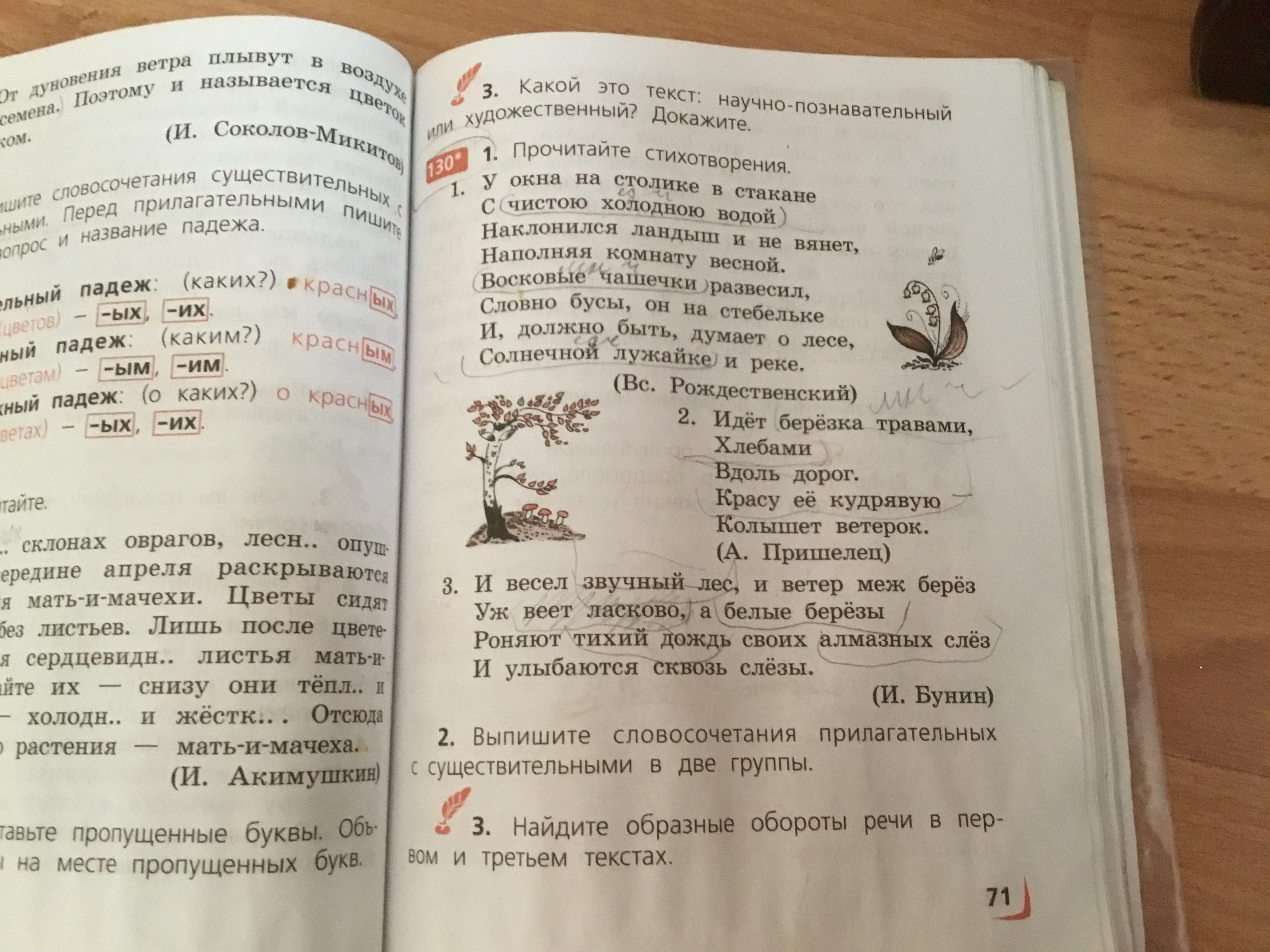 Можете под цифрой 3. Разбор 3. Реке под цифрой 3. Разбор под цифрой три берёза. Лесные под цифрой 3.