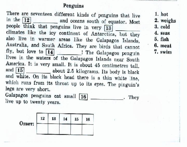 Подготовка к впр английский 7 класс. Penguins текст. Penguin текст ВПР по английскому. Английский язык ВПР Penguins текст ответы. Penguins текст по английскому языку ВПР 7 класс.