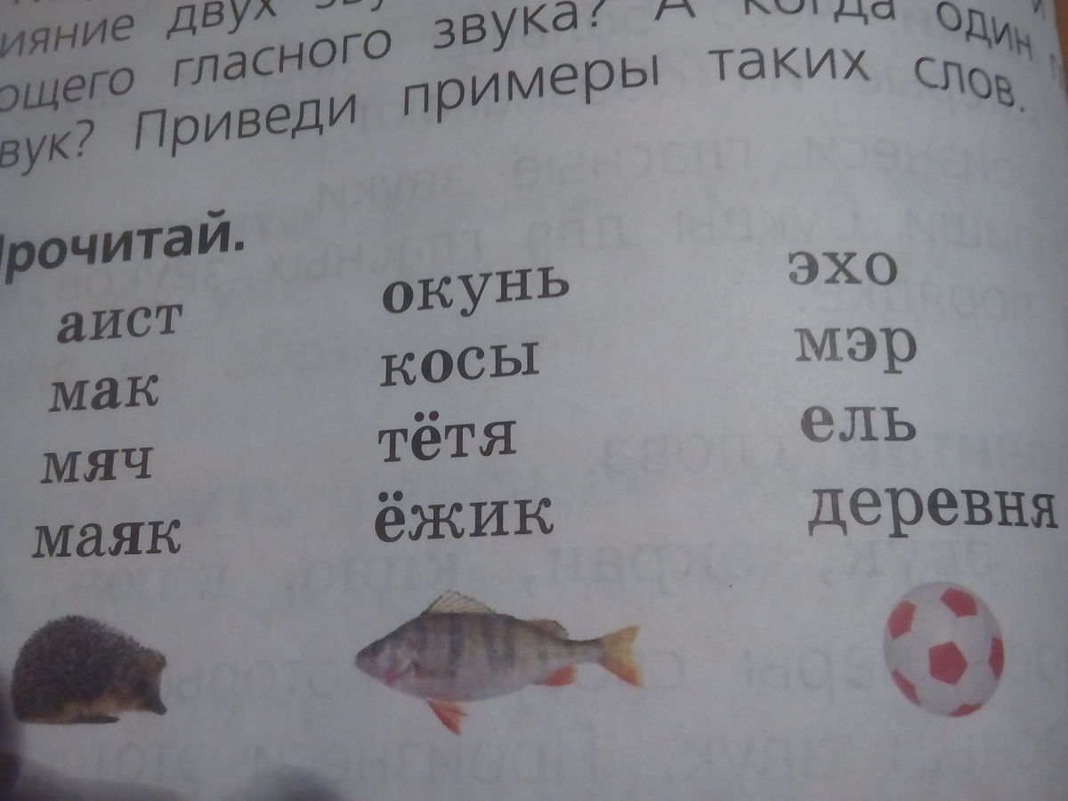 Выделенная буква в словах. Окунь звуковая. Звуковое обозначение слова окунь. Слова, где указывает на мягкость согласного звука. Выпиши слова,где выделенная буква обозначает.