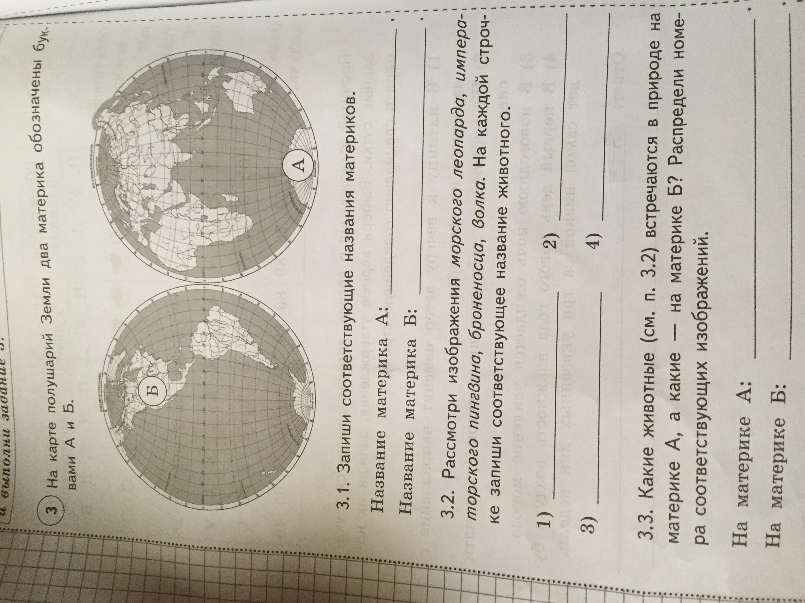 Запиши соответствующие названия. Запиши соответствующие названия материков. 3.1. Запиши соответствующие названия материков.. Запиши соответствующие названия материков а и б. Запиши соответствующее название материка а.