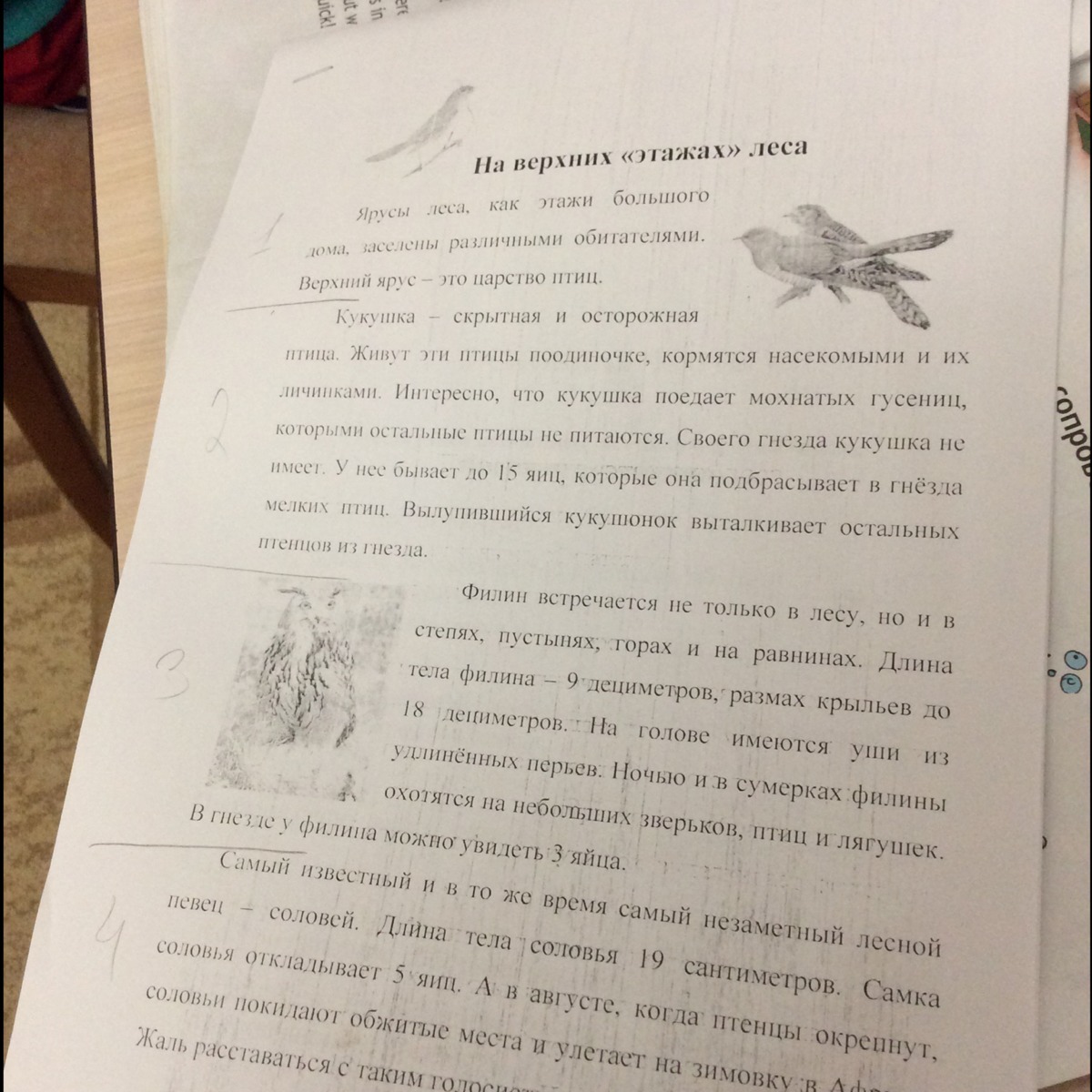 Книга оно сколько частей. Сколько частей в книге идеальное соответствие. Сколько частей в вичь книги.