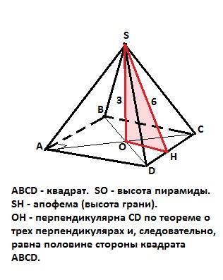 Апофема это высота пирамиды