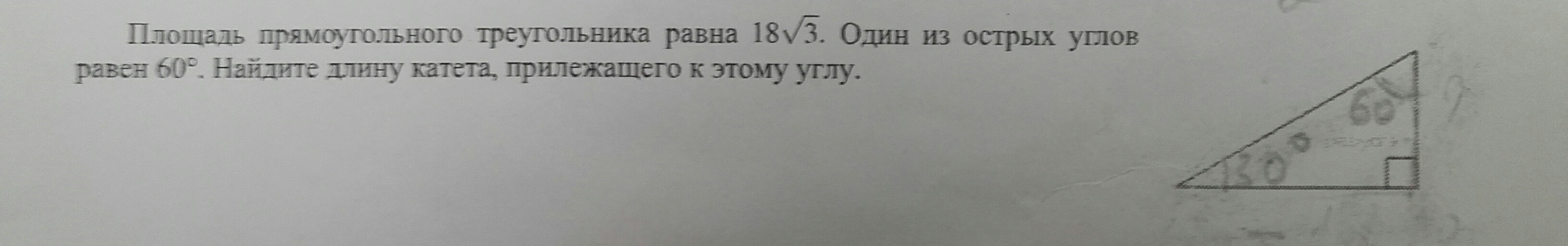 Площадь прямоугольного треугольника равна 50 корень