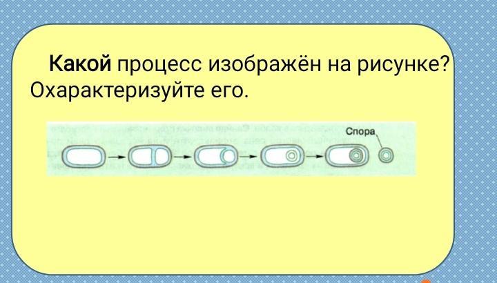 Запишите какой процесс изображен на рисунке. Какой процесс изображён на рисунке. Какой процесс изображён на рисунке охарактеризуйте его. Какой информационный процесс изображён на рисунке. Охарактеризуйте процесс изображенный на рисунке.