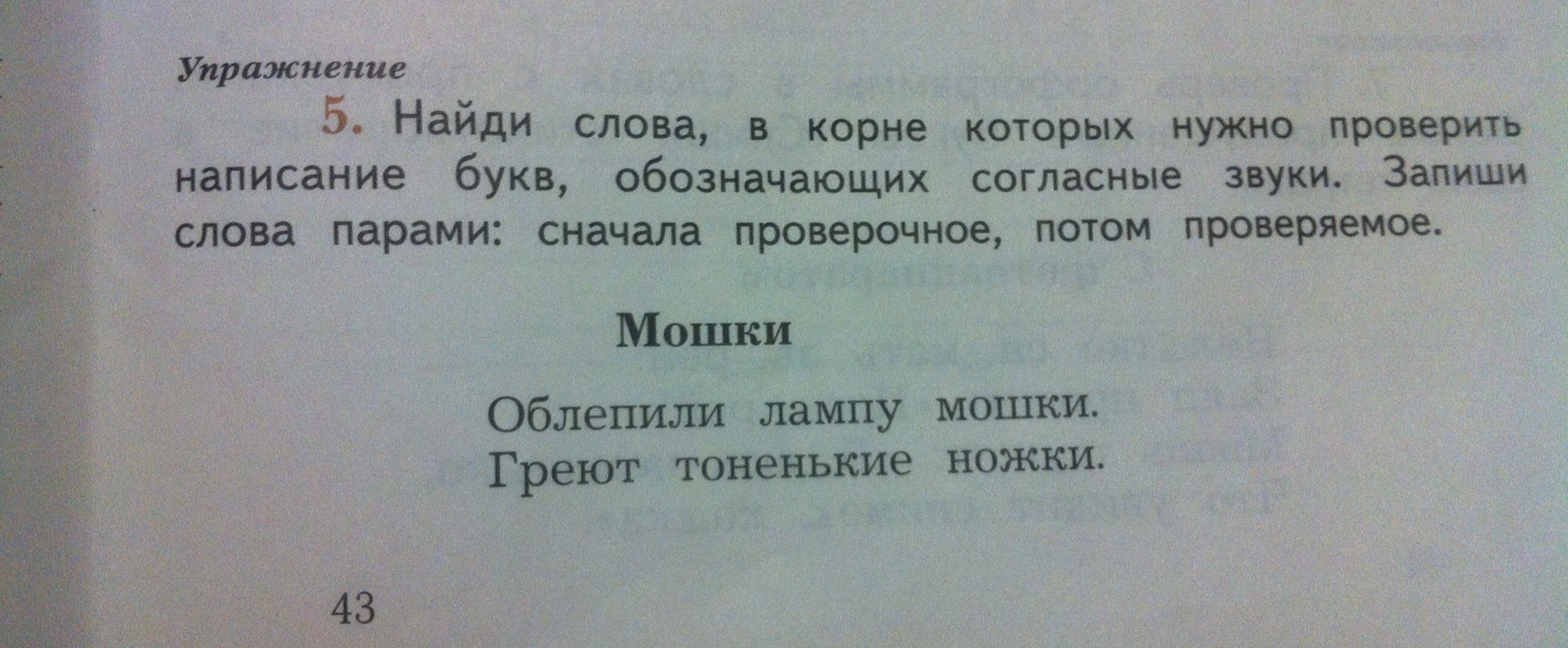 Подчеркни буквы написание которых надо проверить дожди