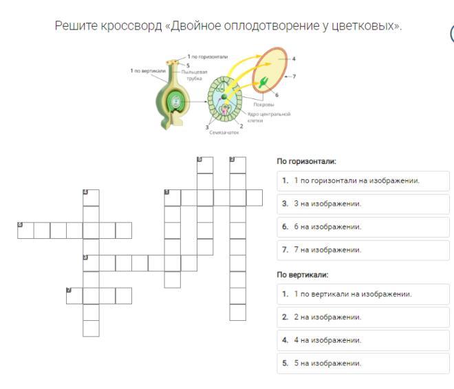 Густые однородные линии на рисунке кроссворд