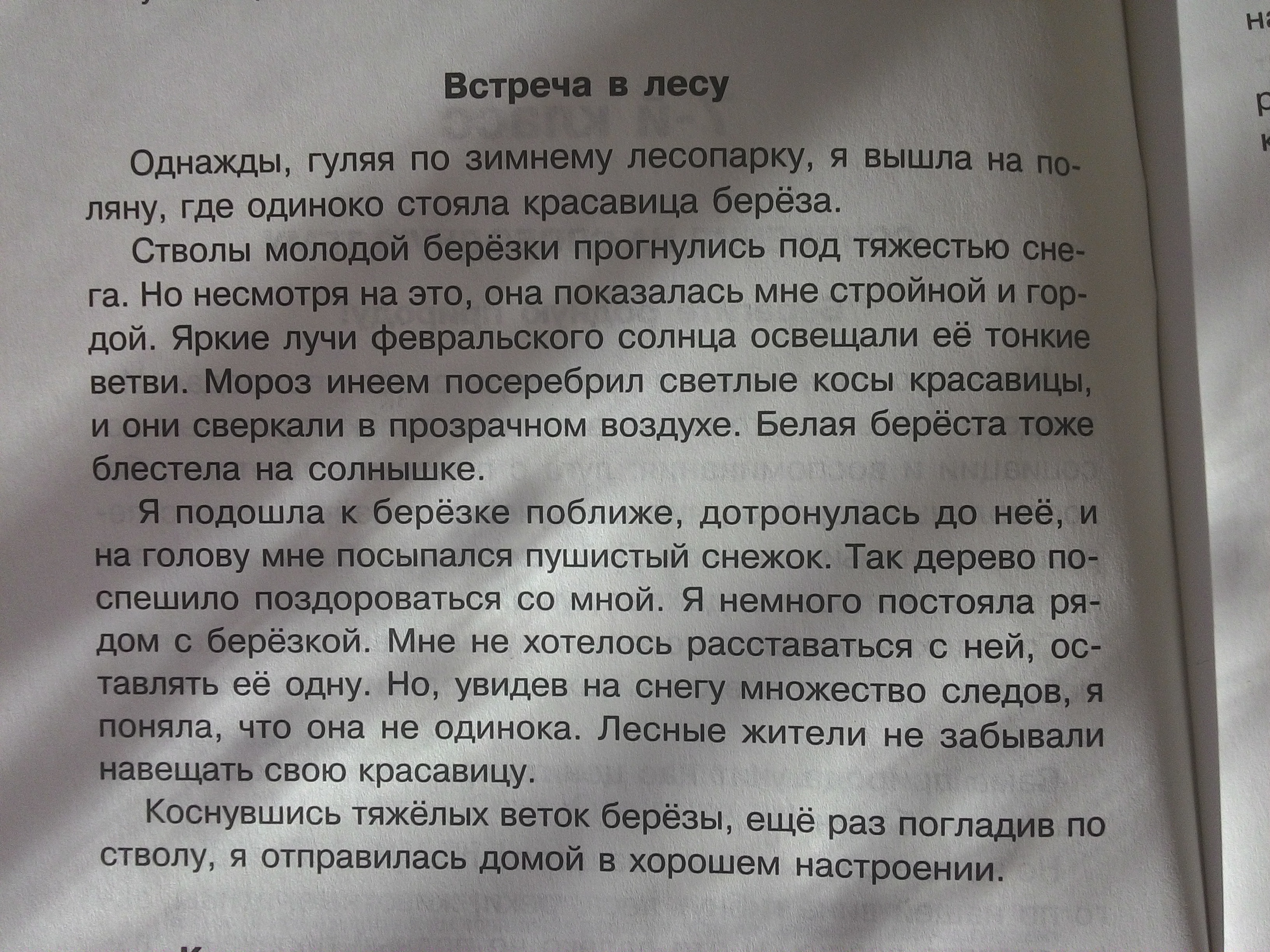 Сочинения встреча. Сочинение неожиданная встреча. Сочинение однажды в лесу. Однажды в лесу сочинение 5 класс. Сочинение однажды в лесу 3 класс.