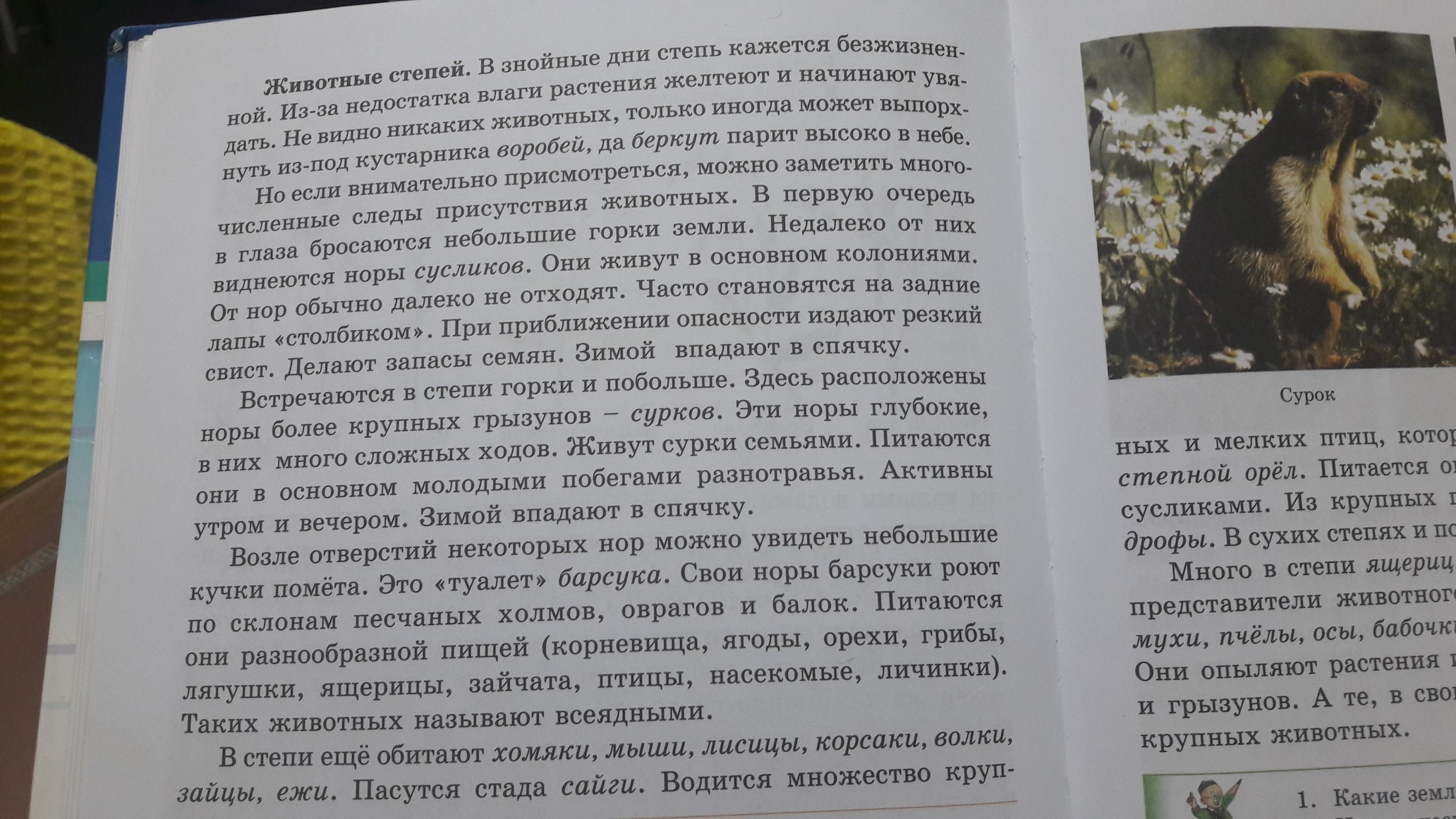 Краткое содержание главы развалины