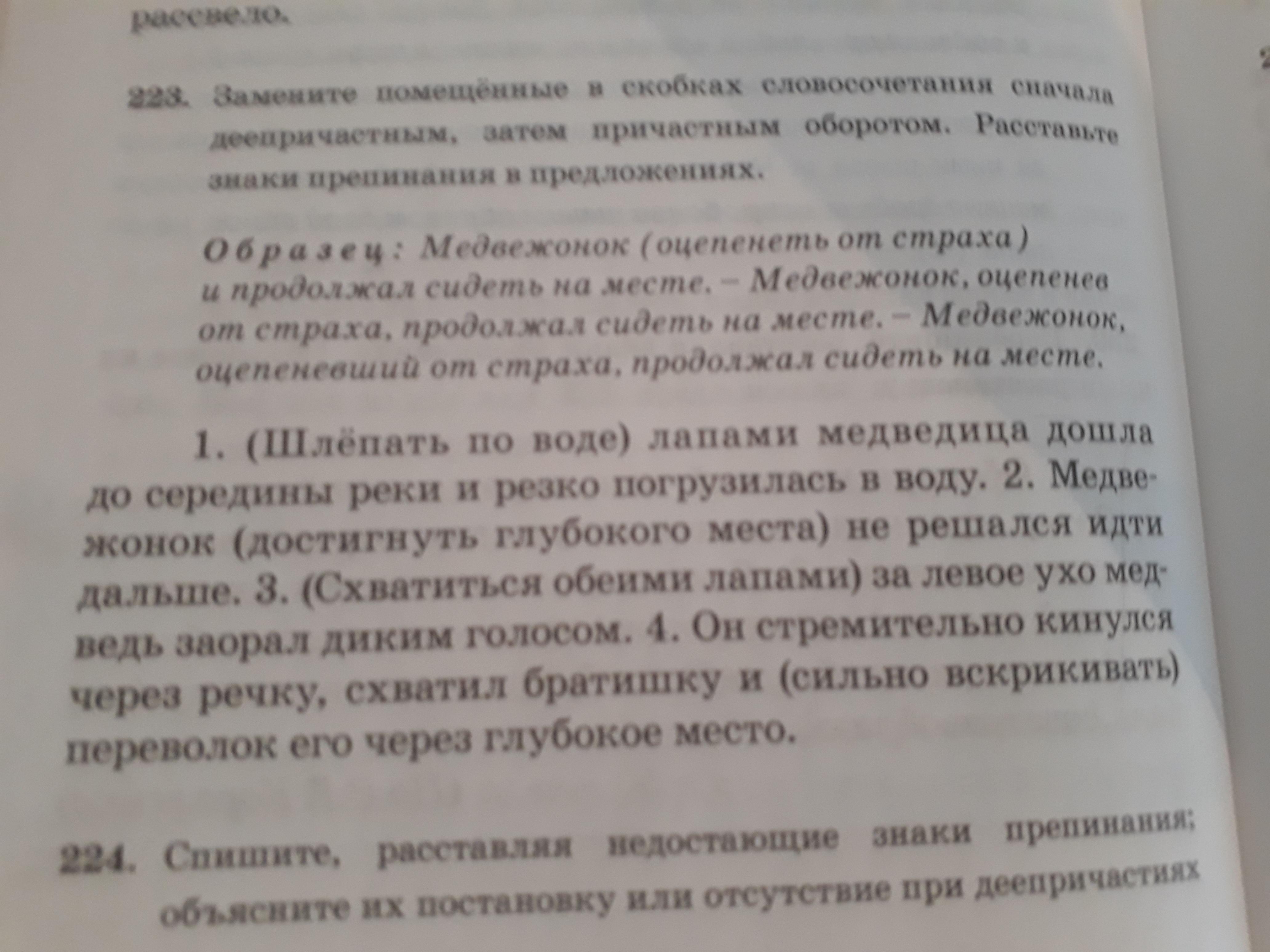 Русский 6 класс упр 223. Русский язык 5 класс упр 223. Русский язык 6 класс упр 223. Рус яз с119упр223.