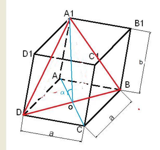 Найти диагональ d2. СН=D/2 (D-диагональ основания).