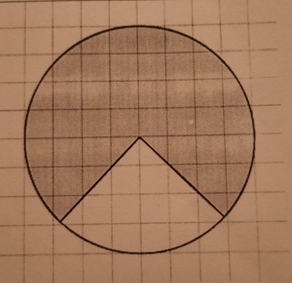 Саша вырезал из картона три круга. Площадь закрашенного круга. Окружность на клетчатой бумаге. Площадь круга на клетчатой бумаге. Круги из клетчатой бумаги.