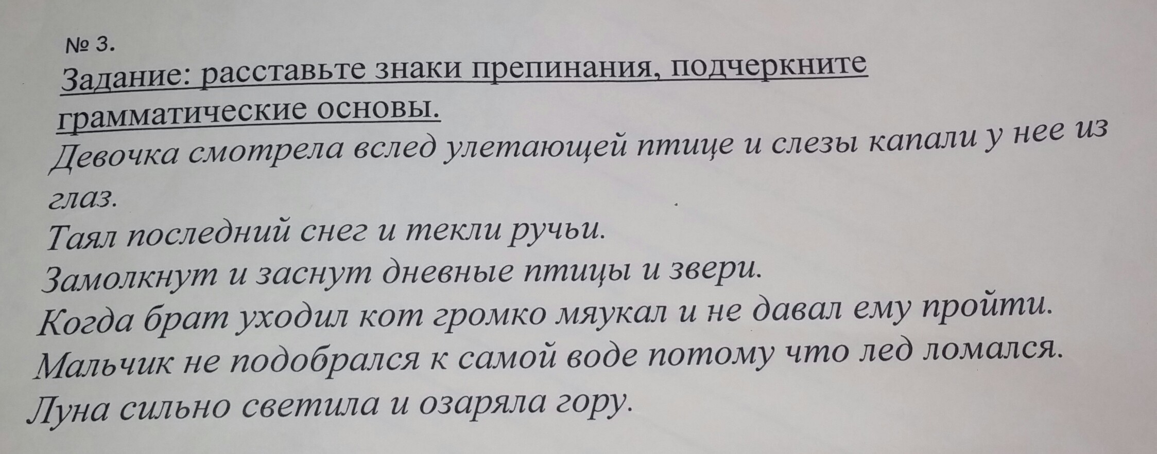 Списать расставить знаки препинания подчеркнуть грамматическую. Расставьте знаки препинания подчеркните грамматические основы. Расставить знаки препинания подчеркните грамматические основы. Расставь знаки препинания подчеркни грамматическую основу. Подчеркнуть грамматическую основу расставить знаки препинания.