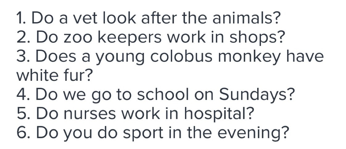 Make questions with these words. Перевод looks after animals. Look after animals. Make questions then and answer.