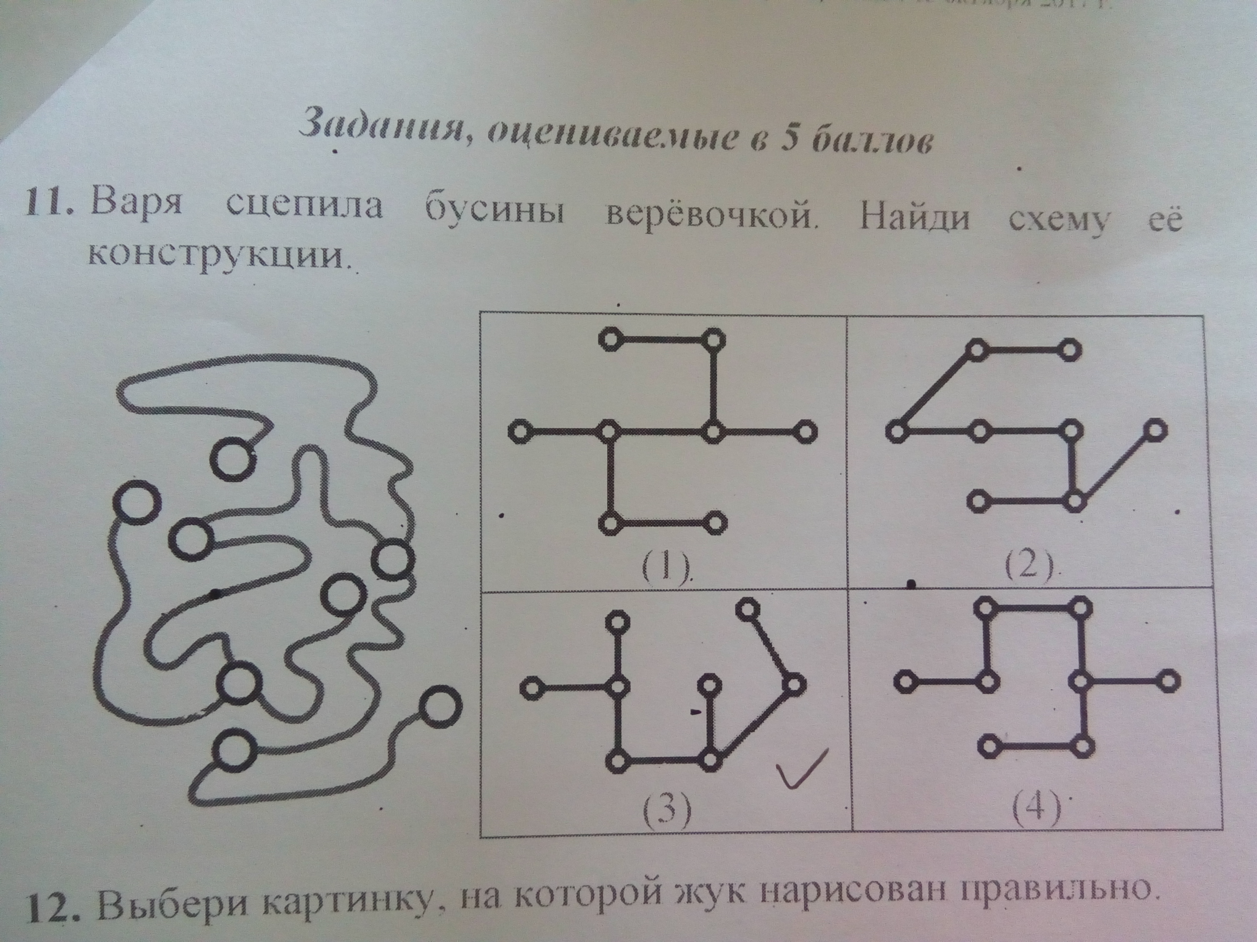 Найти схему по фото. Найди схему. Соедини веревочкой. Саша сцепил Бусины веревочками и нарисовал схему ответ. Задание для УО составление слов из бусин на веревках.