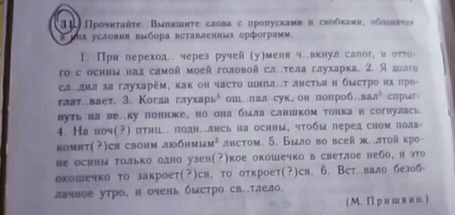 Русский язык 5 сочинение. Сочинение летние радости. Сочинение на тему летние радости. Как писать сочинение на тему летние радости. Летние радости сочинение для 5.