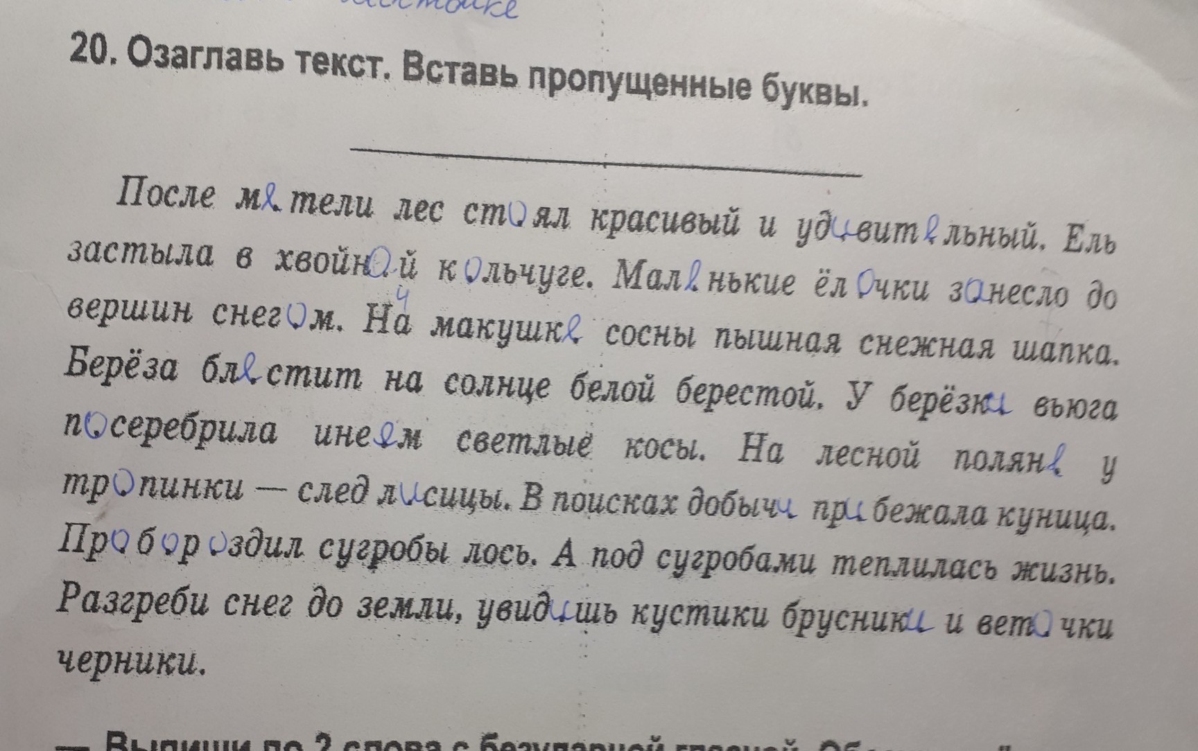 Дает 2 текст. Найди в тексте 2 пары существительных синонимов. В тексте 2 пары существительных синонимов. Найти в тексте 2 пары существительных-синонимов. Вьюга посеребрила пышную прическу стройных сосен диктант 5 класс.