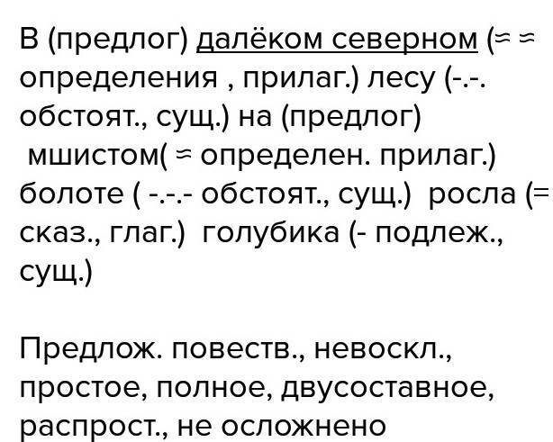 Далекий северный. В далёком Северном лесу на мшистом болоте. В далеком Северном лесу. В далёком Северном лесу на мшистом болоте рос маленький кустик. Текст в далёком Северном лесу.