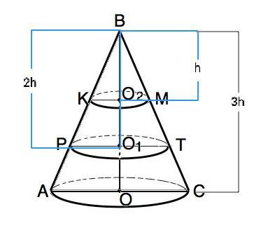 Через точку делящую высоту конуса в отношении. Конус 3 сечения параллельно основанию. Конус поделенный на 3 части. Высота конуса разделена на 3 равные части. Высота конуса разделена на 2 равные части.