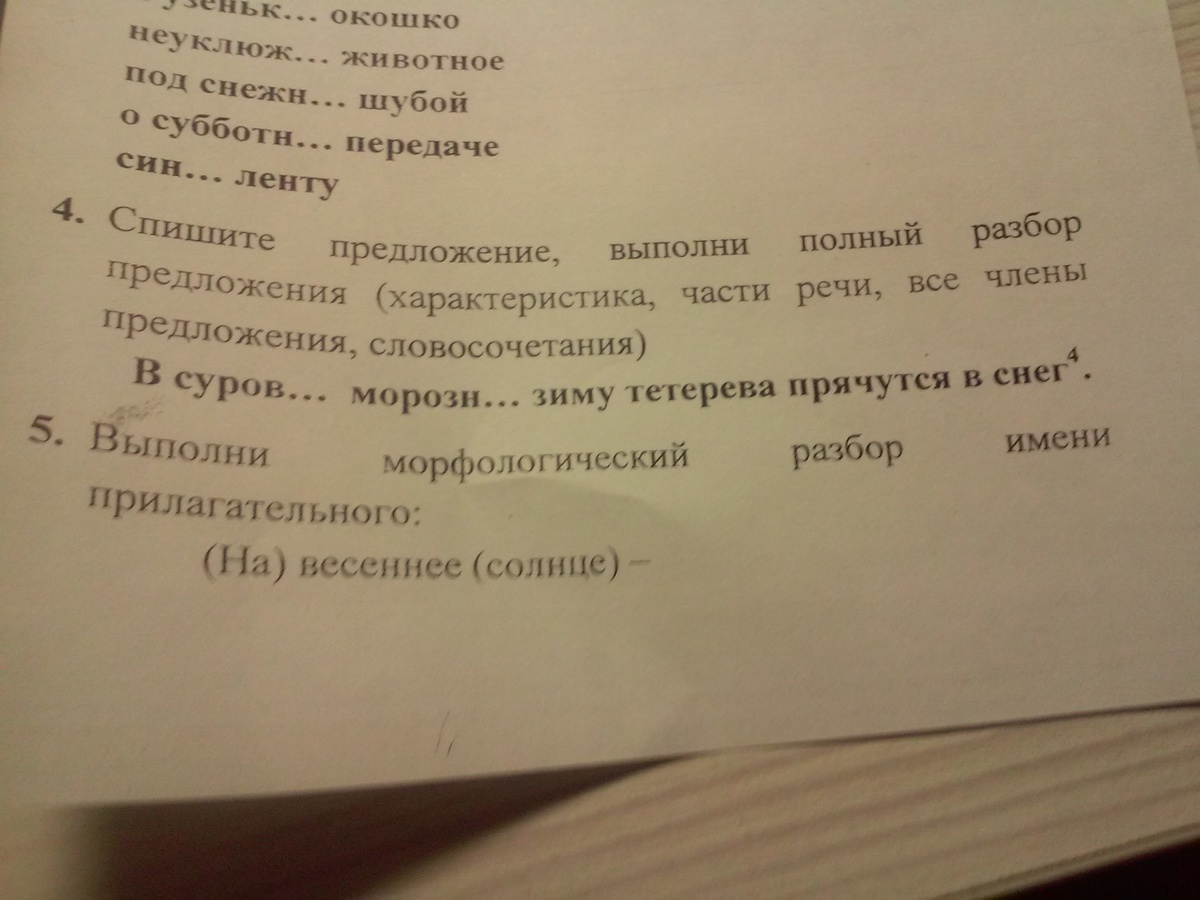 Списать предложение словосочетание. Разбор предложения в суровую зимнюю зиму тетерева прячутся в снег. Предложение про зиму сложное разбор номер 4. Прячутся в снег полный разбор. Разбор номер 4 снег.