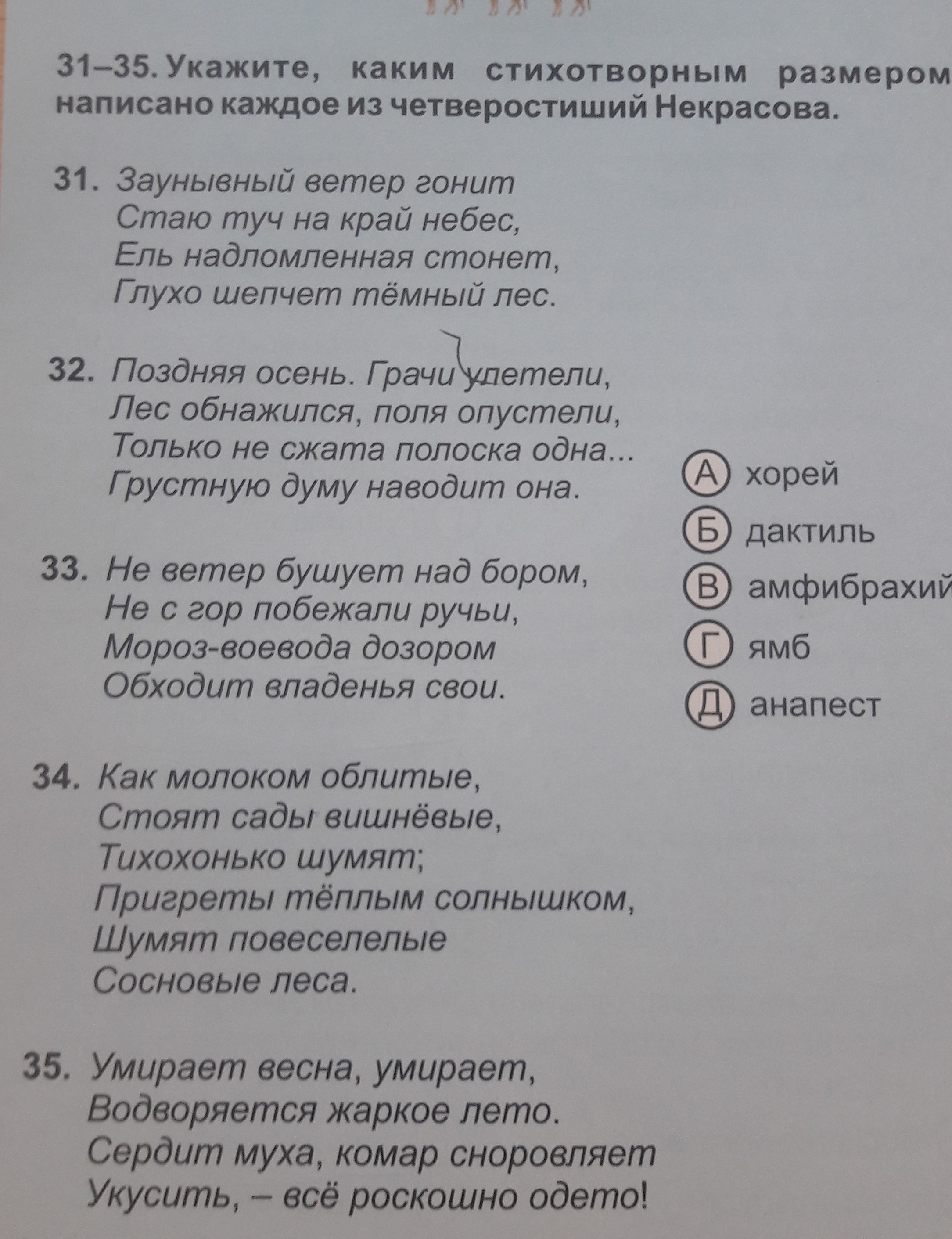 Каким стихотворным размером написано. Стих Некрасова заунывный ветер. Стихотворные Размеры. Амфибрахий не ветер бушует над бором. Стих заунывный ветер гонит стаю туч на край небес.