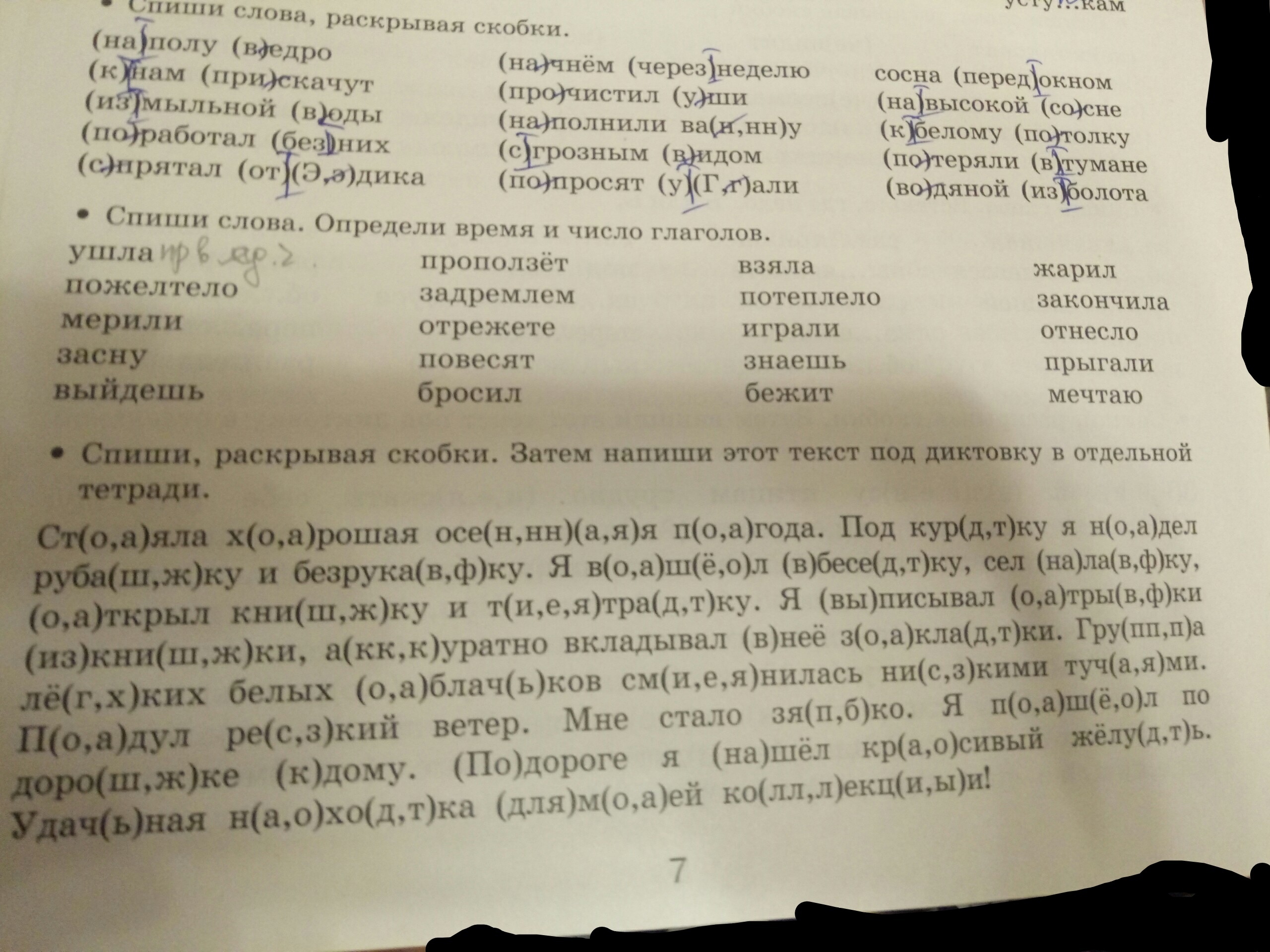 Спишите текст раскрывая. Спиши слова раскрывая скобки. Спиши текст раскрывая скобки. Спиши слова раскрывая скобки ствол дерева. Спиши слова раскрывая скобки ствол дерева шапочка дятла.