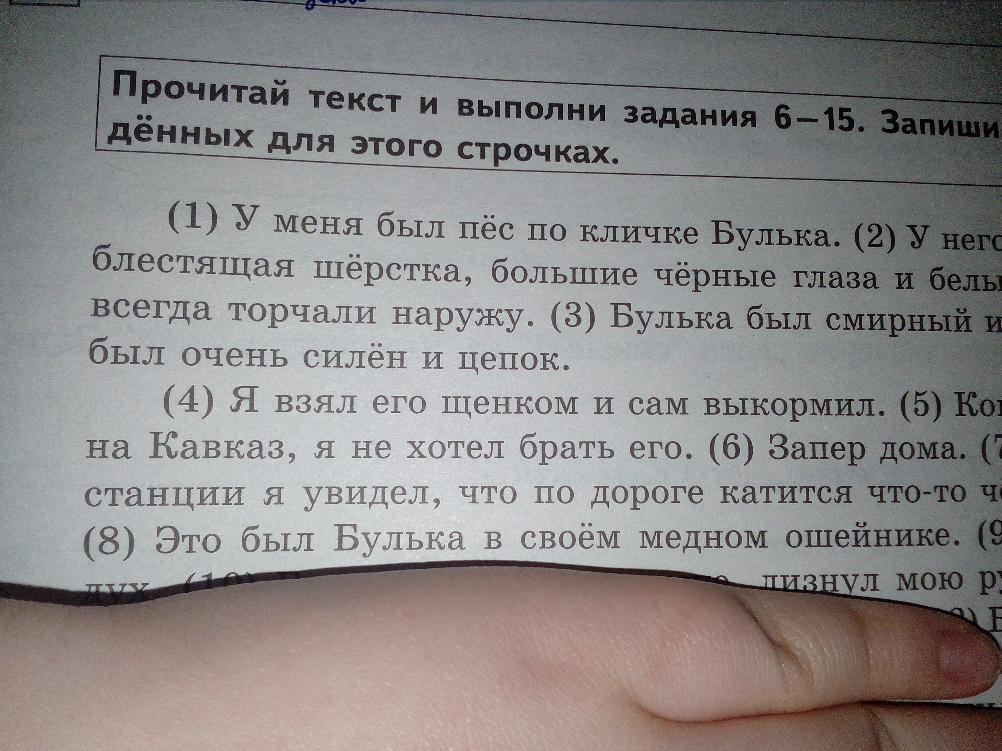 В 5 прочитай и выполни