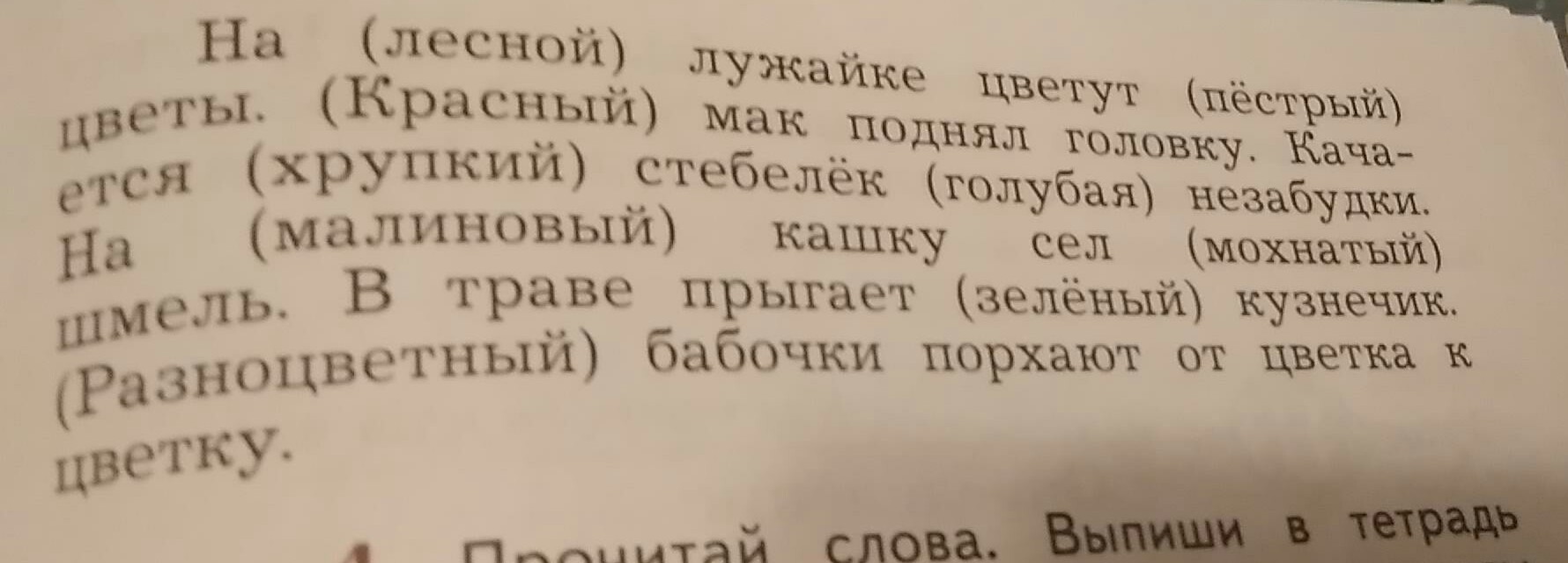 Спиши вставляя прилагательные. Вставь в текст прилагательные в нужной форме. Спиши текст вставляя прилагательные которые являются. Спишите текст поставив прилагательные в нужной форме. Прилагательные которые являются определениями в нужную форму.