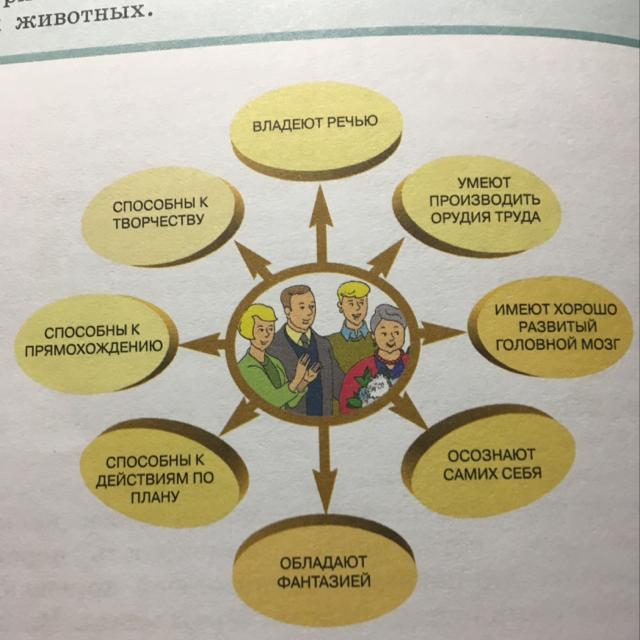 Обществознание чем отличаются. Отличие человека от высших животных. Схема отличий человека от животных. Схема чем люди отличаются от высших животных. Схема чем человек отличается от животного.