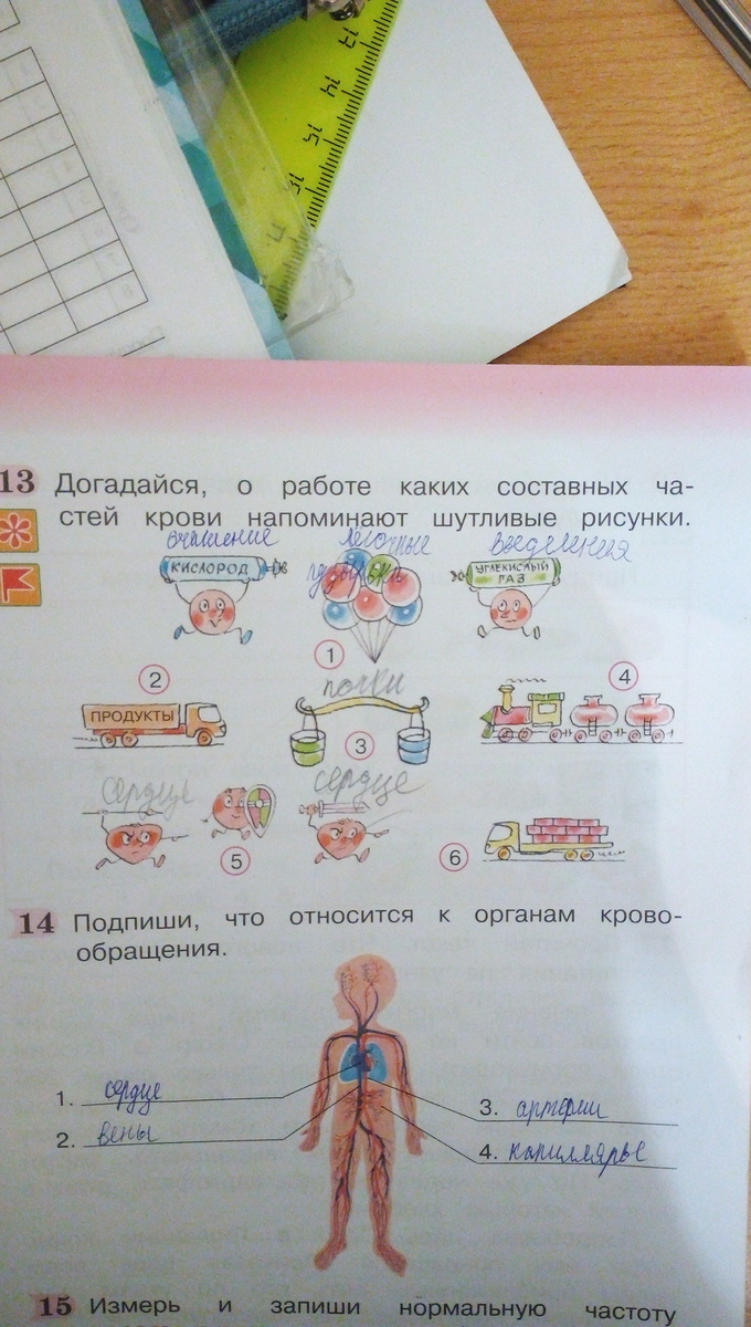 Нужны ответы на задания. Нужны ответы на это задание. О работе каких составных частей крови напоминают шутливые рисунки. Ответы на задания. Догадайся о работе каких составных частей крови.