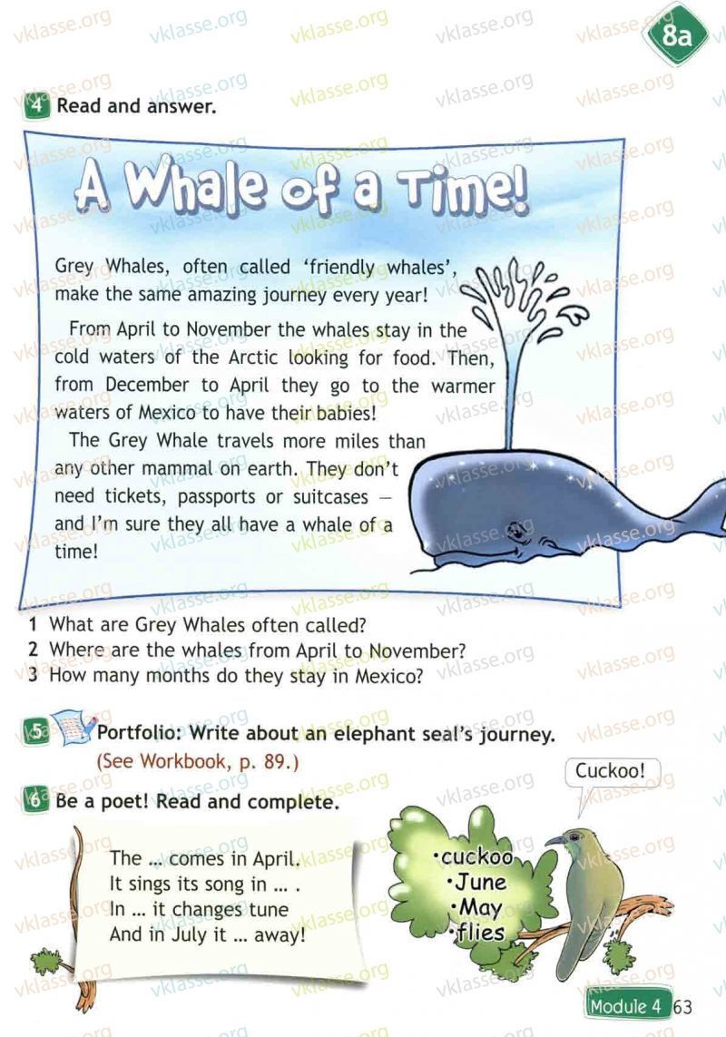 Grey whales often. Grey Whales often Called friendly Whales make the same amazing Journey every year. Grey Whales often Called friendly Whales make the same amazing Journey every year перевод на русский. Grey Whale,often Called перевод. What are Grey Whales often Called перевод.