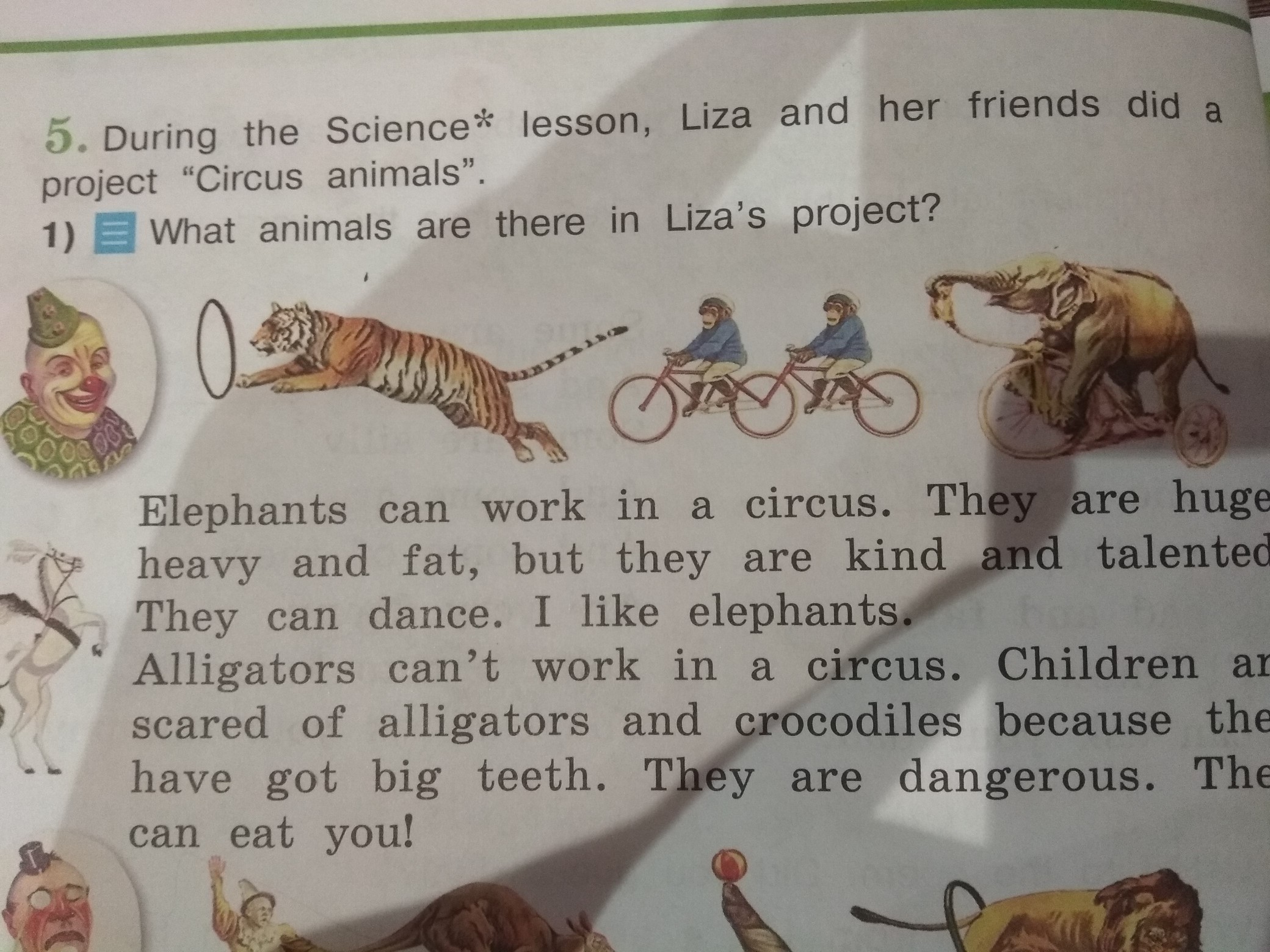 Circus перевод. What animals can work in a Circus why what do. What animals are there in Liza s Project перевод. Цирк перевод на русский.