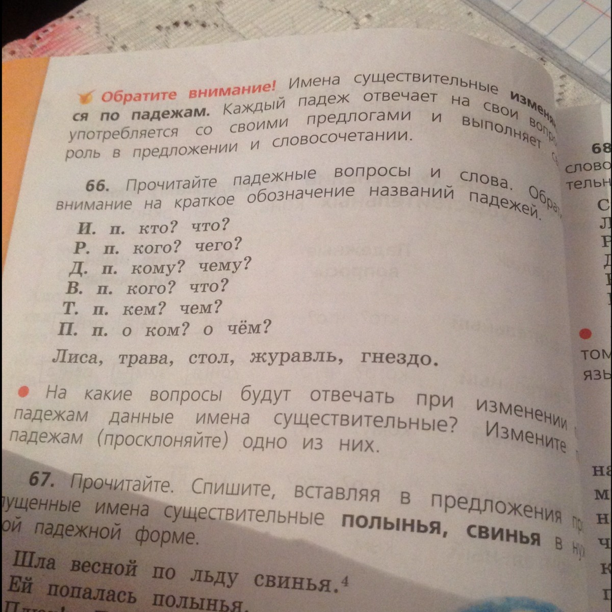 Разбор слова по падежам. Шла весной по льду свинья ей попалась полынья. Разбор по членам предложения свинья. Разбор предложения по членам шла весной по льду свинья.