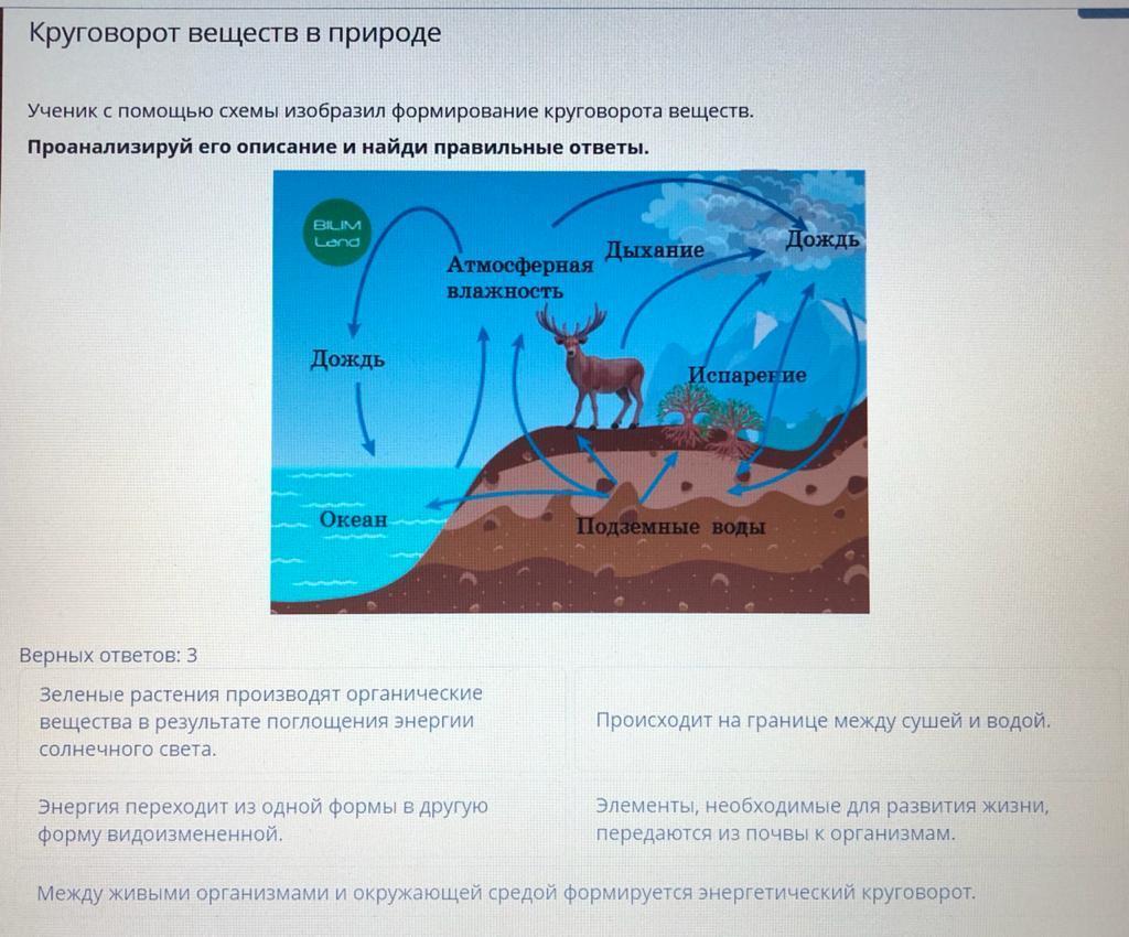 Круговорот железа в природе схема. Биотический круговорот веществ. Круговорот железа в природе.