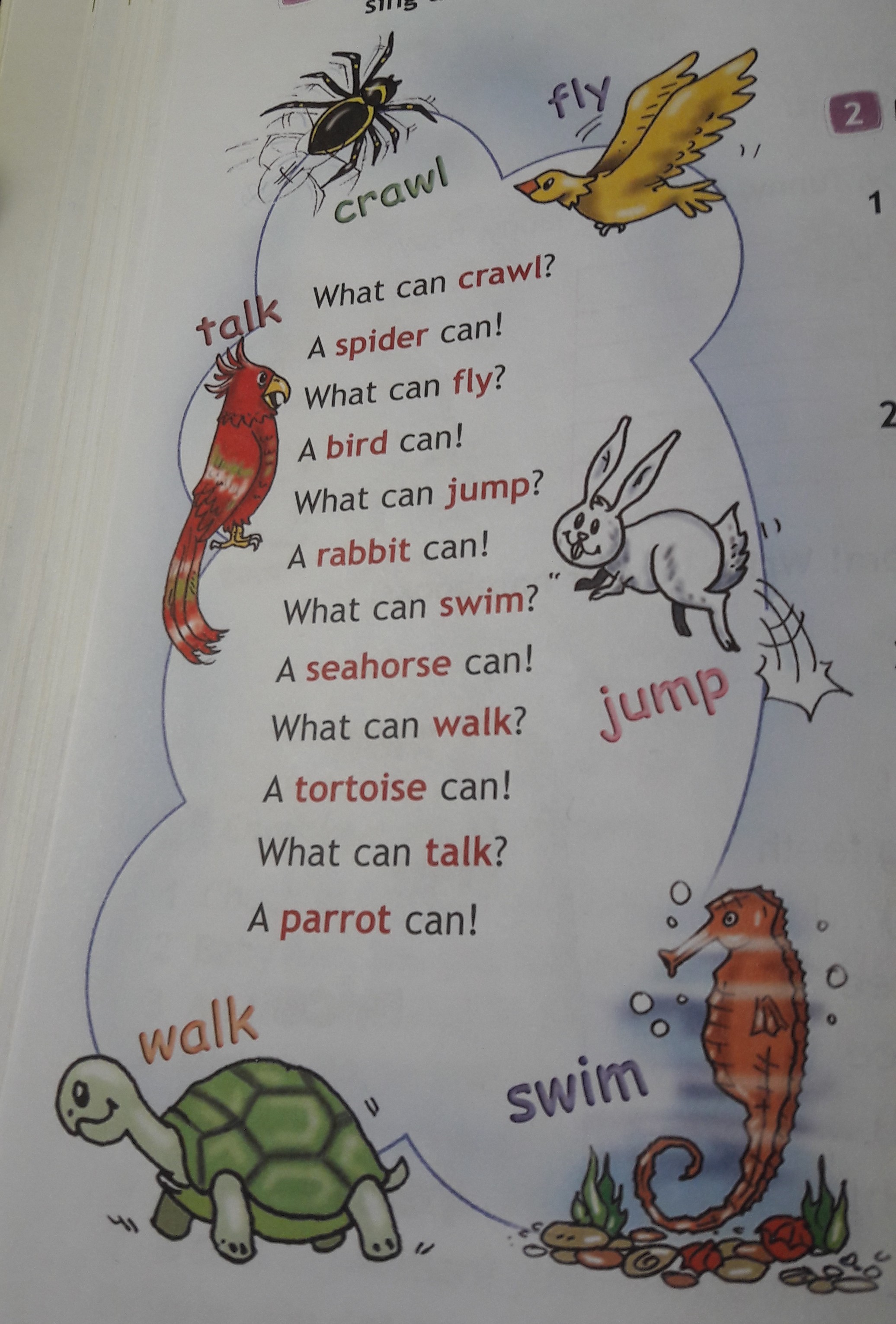 Crawl spider fly bird jump rabbit swim. What can Crawl a Spider can what can Fly. What can Crawl перевод. Транскрипция слов Crawl Spider Fly Bird Jump Rabbit Swim Seahorse walk Tortoise talk Parrot. Песня what can Crawl.