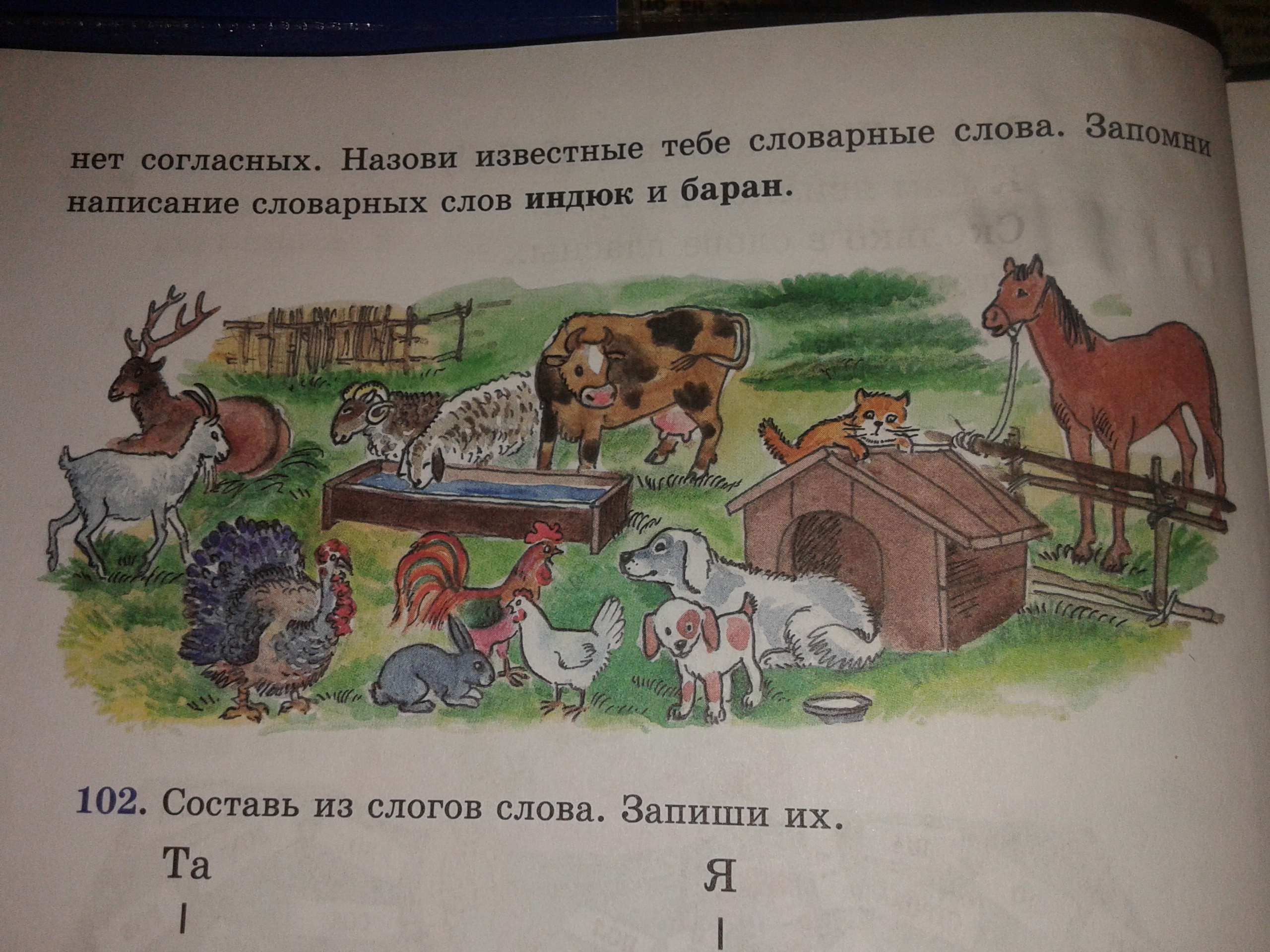 Разбор слова индюк