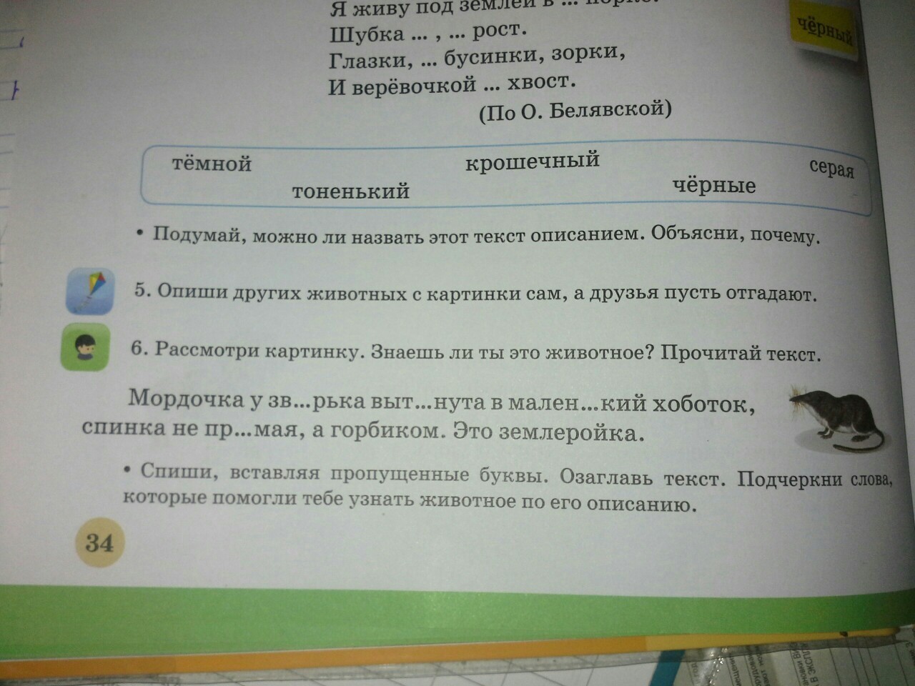 Я живу под землей в норке шубка. Я живу под землей в темной норке. Загадка я живу под землей в темной норке шубка серая крошечный рост. Загадка я живу под землей. Я живу под землей в темной норке шубка серая крошечный.