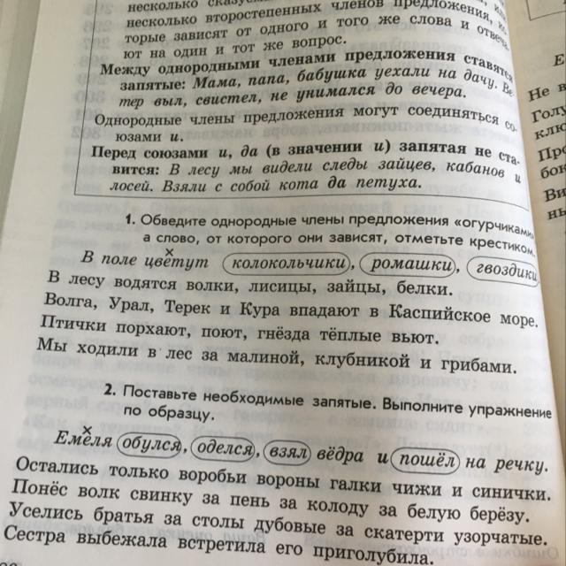 Предложение со словом вверху. Сестра выбежала встретила его приголубила. Сестра выбежала встретила его приголубила знаки препинания.