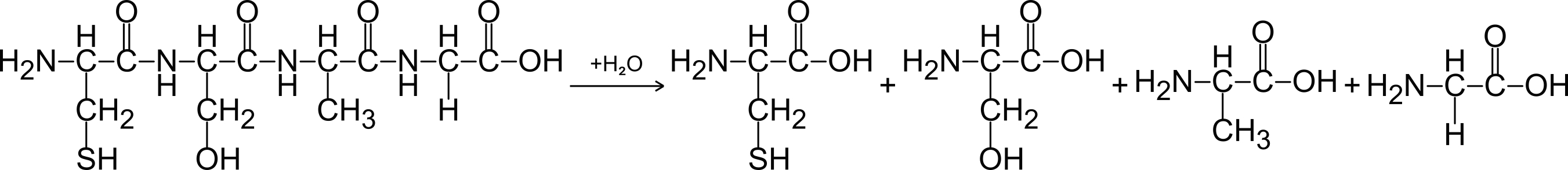 Напишите реакцию глицина. Гидролиз тетрапептида. Глицин аланин гидролиз. Аланин гидролиз. Гидролиз глицина уравнение.