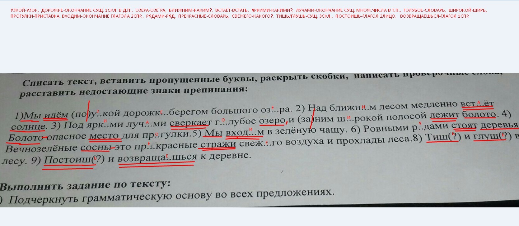 Текст дорожки. Диктант мы идем по узкой дорожке. В лесу текст мы идем по узкой. Текст мы идем по узкой дорожке. Текст мы шли по узкой тропинке текст.