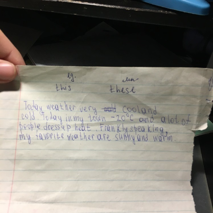 Write five sentences. Look through the Window and write Five sentences to answer the question what.