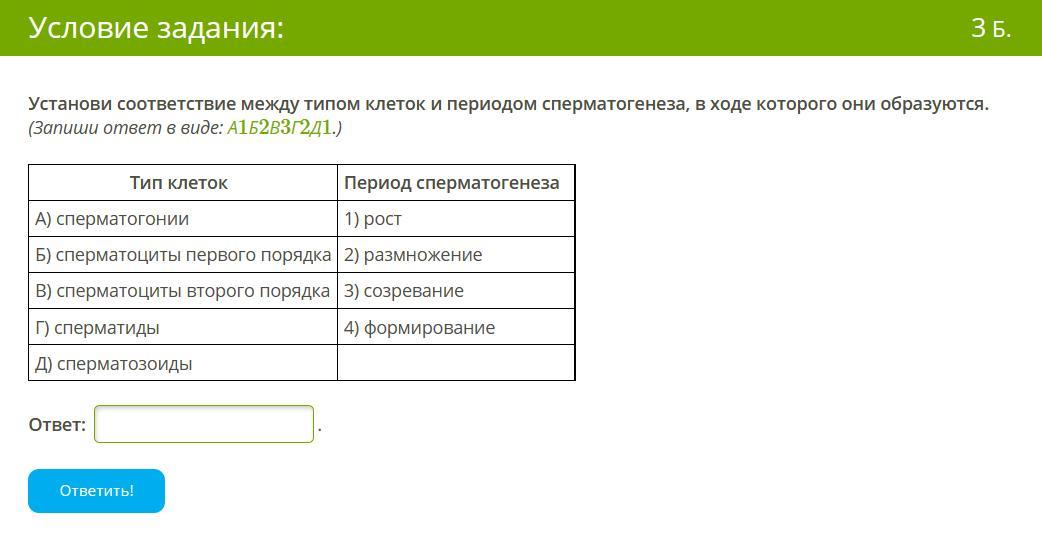 Установи соответствие между типом клеток