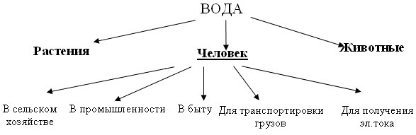 Значение водных богатств в природе и жизни человека схема