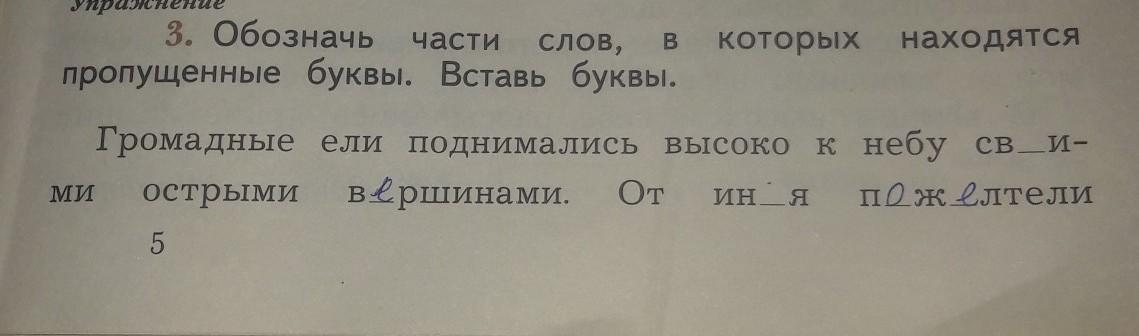 Впишите пропущенное слово изображение которое получено пересечением реальных световых лучей называют