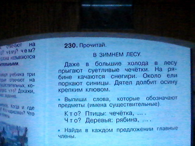 Русский язык номер 230. Выпиши слова которые обозначают предметы. Выписать слова которые обозначают предметы. Выпиши слова которые обозначают предметы имена существительные. Выпиши слова которые обозначают предметы 2.